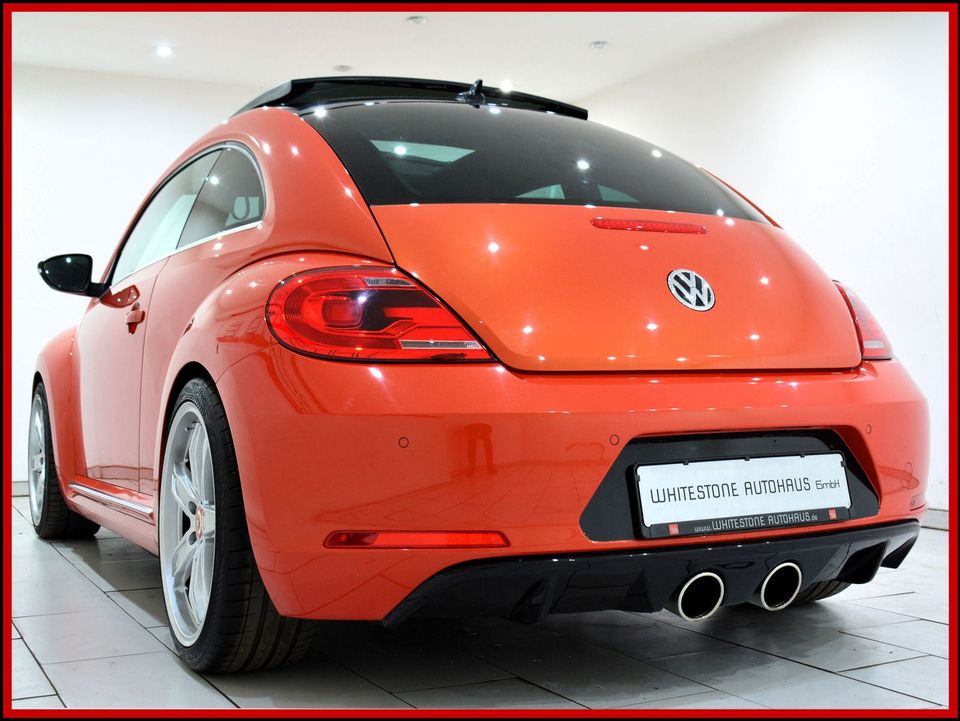 Volkswagen Beetle 1.2 TSI Sportpaket DSG Panorama 19 Zoll in Berlin