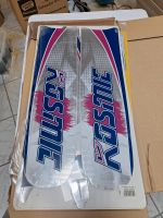 OTK Bodywork Aufklebersatz Design KOSMIC M4/M6 NEU Niedersachsen - Holle Vorschau