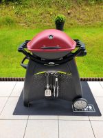 Gasgrill Weber Q2200 Baden-Württemberg - Oberderdingen Vorschau