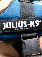 Julius K9, Softies Rheinland-Pfalz - Oberwesel Vorschau