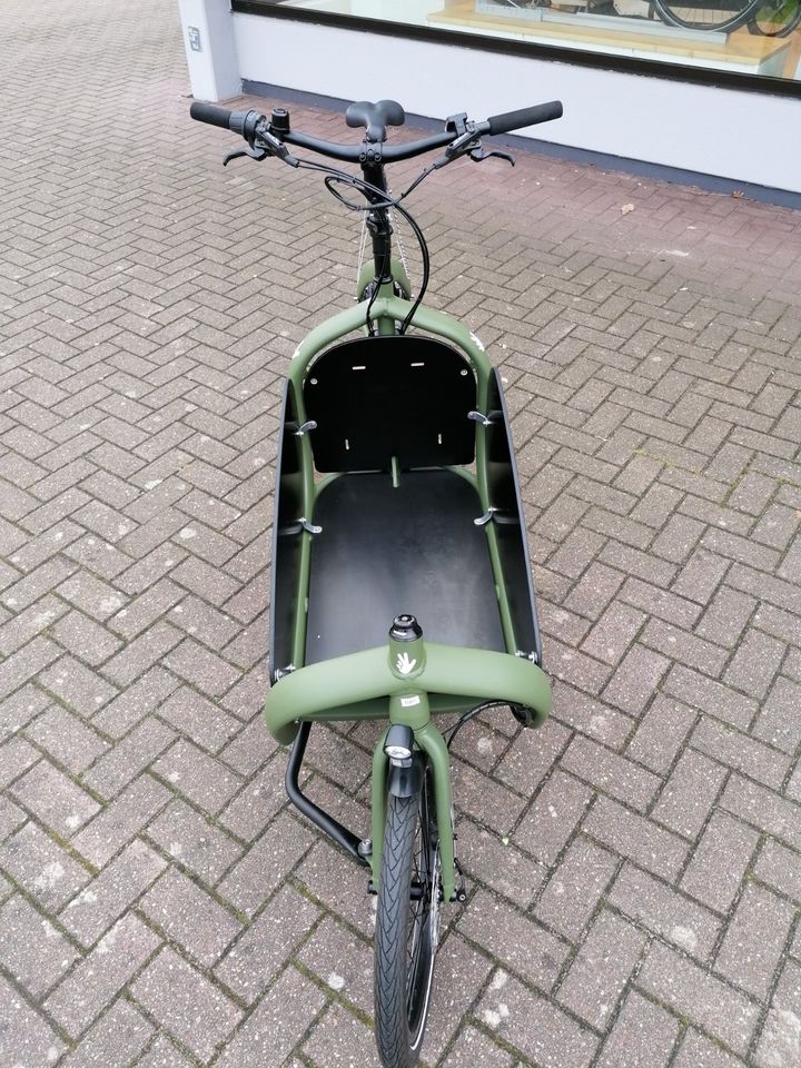 Triobike cargo e enviolo 501 Wh Lastenbike Pedelec in Bremen