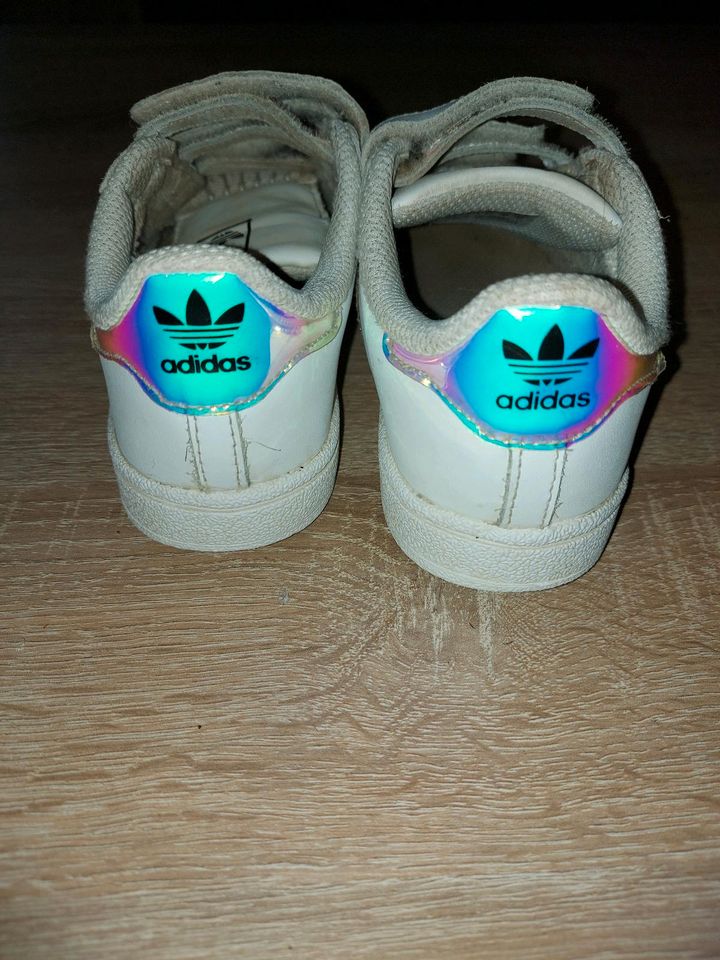 Adidas Kinder Sneaker Superstar Gr. 27 in Torgelow