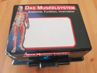 Das Muskelsystem, Anatomie, Funktion, Innervation Rheinland-Pfalz - Zweibrücken Vorschau