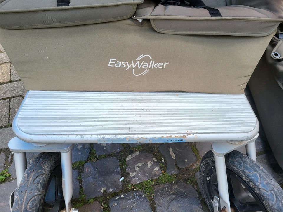 Easywalker khaki Doppelbuggy Kinderwagen Luftreifen in Lörzweiler