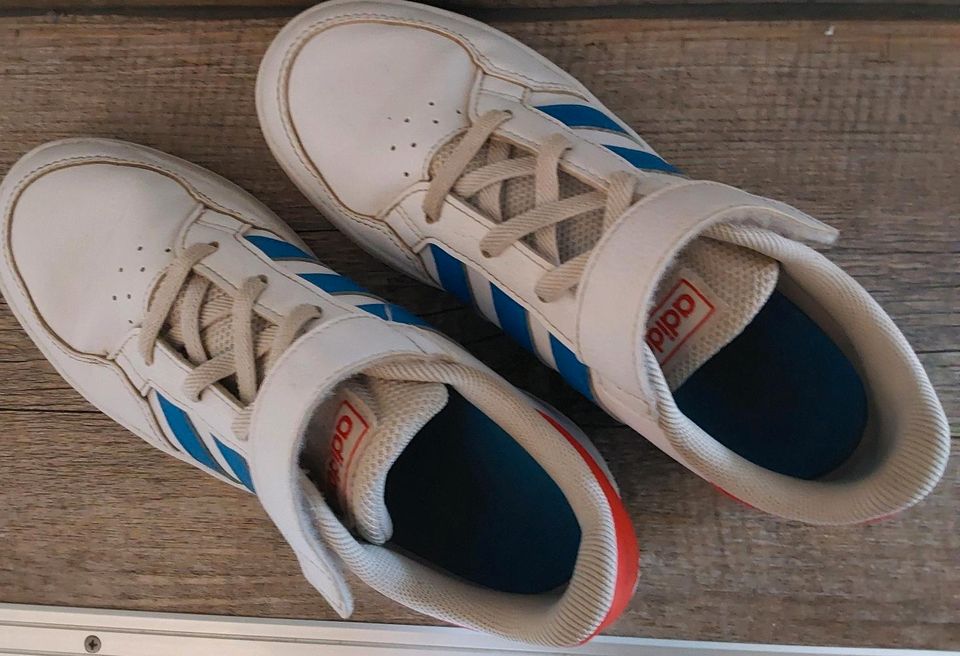 Adidas Schuhe  Jungs Größe 35 in Krummwisch