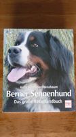 Der Berner Sennenhund Hessen - Idstein Vorschau