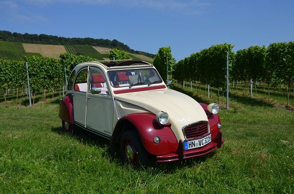 Weihnachtsgeschenk Gutschein Oldtimer fahren 2cv, Käfer, DS, R4 in Brackenheim