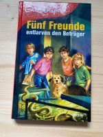 Kinderbuch Fünf Freunde entlarven den Betrüger Niedersachsen - Seeburg (Niedersachsen) Vorschau