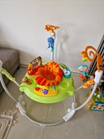 Babyspielzeug Jumperoo, Hüpfspielzeug Hessen - Dillenburg Vorschau