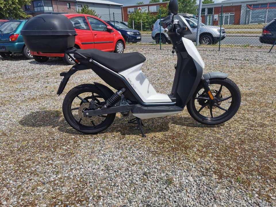 E Moped  Torrot MUVI City in Ribnitz-Damgarten