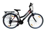 26 Zoll Cityfahrrad Shimano 21-Gang mit StVZO Licht Schwarz Dortmund - Innenstadt-Nord Vorschau