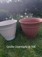 Große Übertöpfe, Pflanzen, Garten Thüringen - Greußen Vorschau