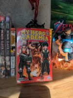 OVP My hero academia Band 13 1. Auflage mit Extra glow bnha Niedersachsen - Rhade Vorschau