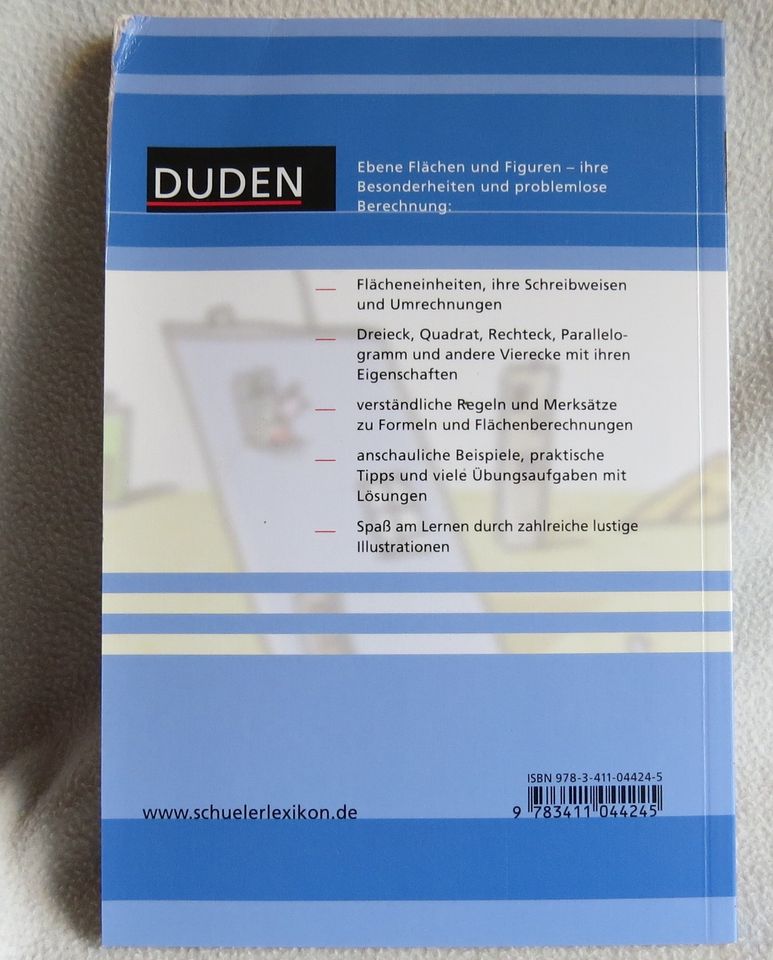 Lernbuch – Mathematik Flächen – 5.-8. Kl. – von DUDEN in Allensbach