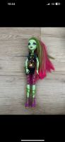 Monster High Puppe Venus Mcflytrap Sammelpuppe Nordrhein-Westfalen - Brilon Vorschau