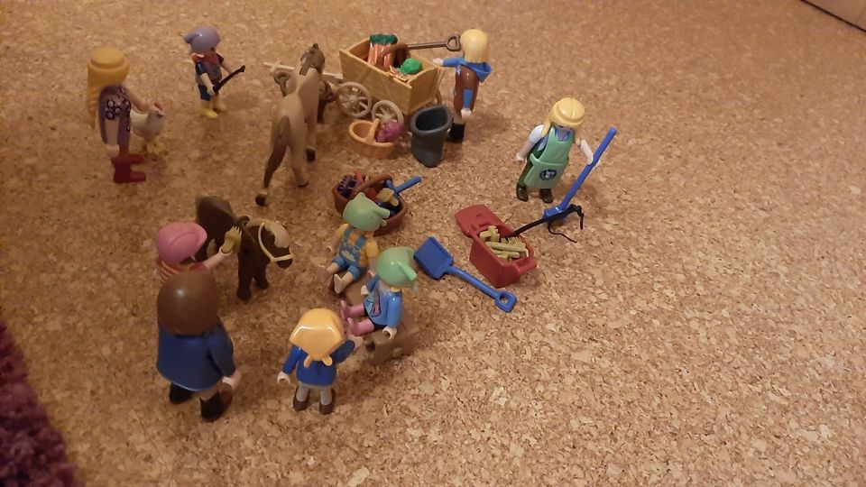 Playmobil-Sets abzugeben in Havetoft