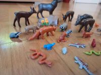 Playmobil Waldtiere Hirsch Rehe Wildschwein Dachs Fuchs Schlangen Sachsen-Anhalt - Barleben Vorschau