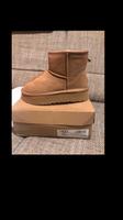UGG Damen Schuhe Damen Boots Ultra Platform Plateau Neu Gr.38 Bayern - Lochhausen Vorschau