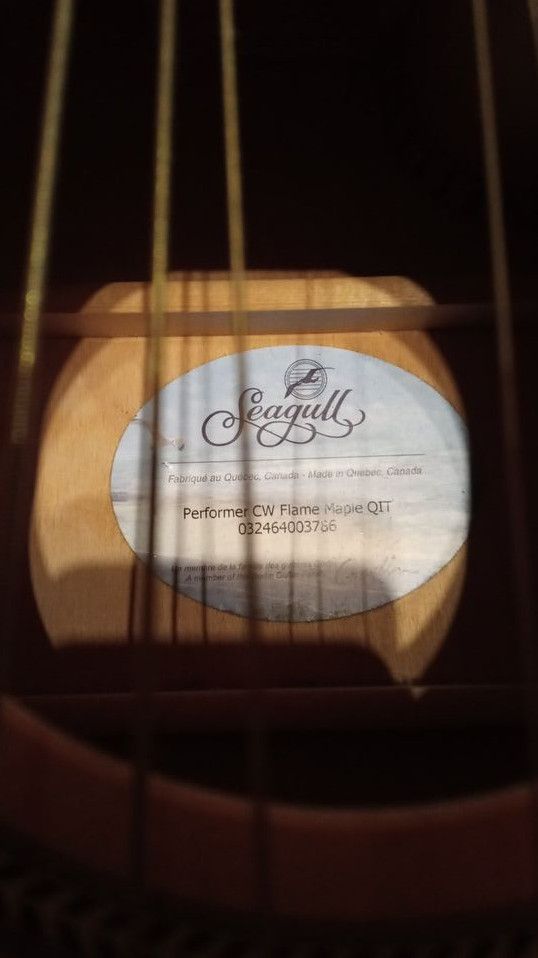 ✨Seagull Performer CW FlameMaple Canada w/ Martin Strings✨ in Kressbronn am Bodensee