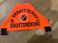 Asssistenzhunde Kletti Gr.L Bayern - Augsburg Vorschau