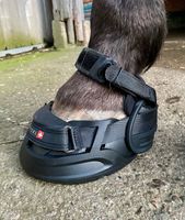 Hufschuhe / Hufschuhberatung für Pferde & Ponys Baden-Württemberg - Osterburken Vorschau