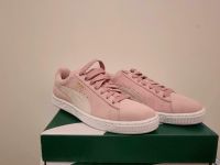 Puma Suede Classic Gr.38,5 Nordrhein-Westfalen - Wetter (Ruhr) Vorschau