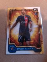 Bradley Barcola Paris Saint-Germain Team Fan Set Mecklenburg-Vorpommern - Stralsund Vorschau