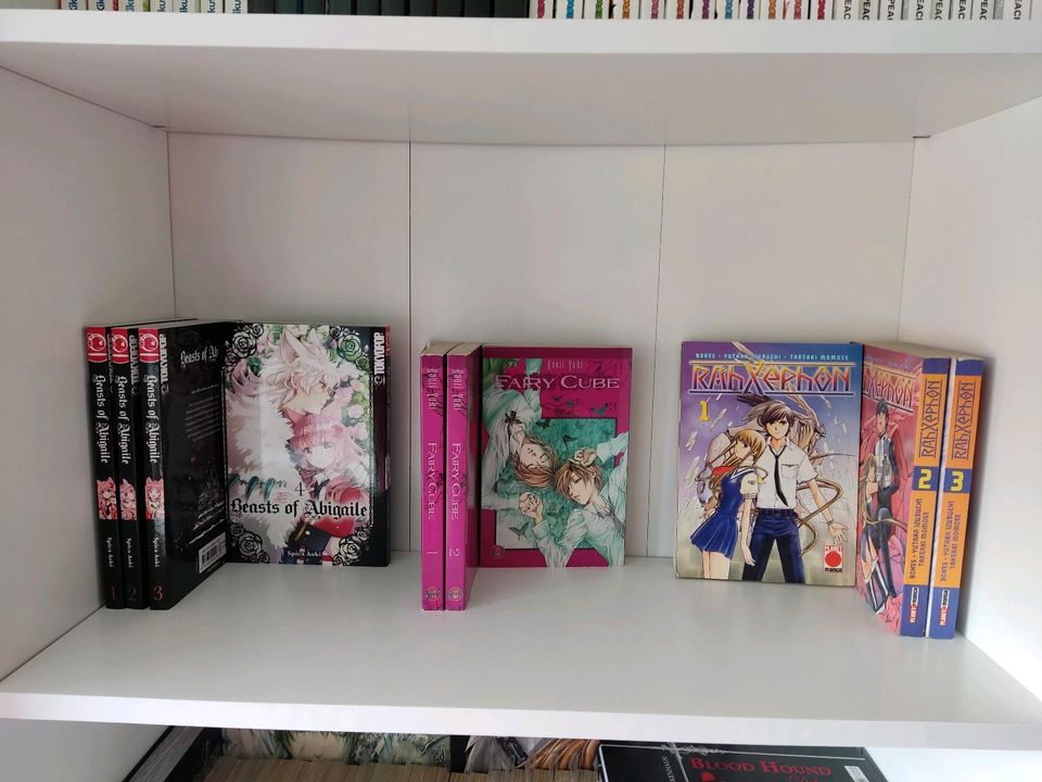 Großer Manga Verkauf in Volkmarsen