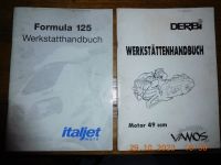 Werkstatthandbücher Derbi Vamos und Italjet Formula 125 Baden-Württemberg - Rheinfelden (Baden) Vorschau