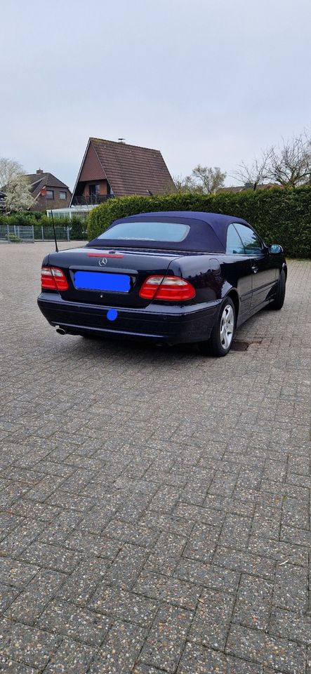 Mercedes Benz CLK Cabrio Avantgarde (W 208) in Wilhelmshaven