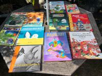 Viele Kinderbücher Bilderbücher Feuerwehr Was ist Was Disney Hamburg-Nord - Hamburg Groß Borstel Vorschau