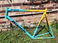 Bianchi Mega Pro Rahmen Gr. XL/59 1Zoll Pantani Sachsen-Anhalt - Wettin-Löbejün Vorschau