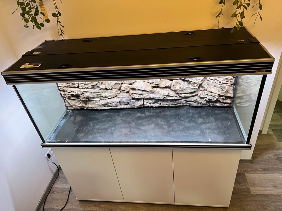 Komplett 450l Aquarium +Massen Zubehör //Helialux Spectrum in Zwickau