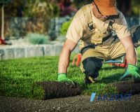 Mitarbeiter / Helfer Gartenbau  (m/w/d) Dresden - Äußere Neustadt Vorschau