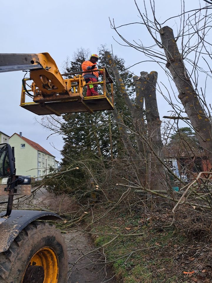 Arbeiten rund um Haus und Hof in Gera