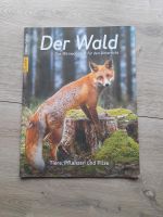 Der Wald Mitmach-Heft Unterricht sailer-Verlag Thüringen - Bad Langensalza Vorschau