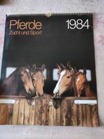 DDR Pferde Kalender 1984 Sachsen-Anhalt - Burg Vorschau