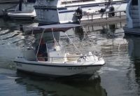 Motor Boot - Angelboot Proline open fisherman mit Trailer Nordrhein-Westfalen - Kleve Vorschau