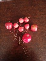 9 Deko Äpfel gedrahtet Niedersachsen - Verden Vorschau