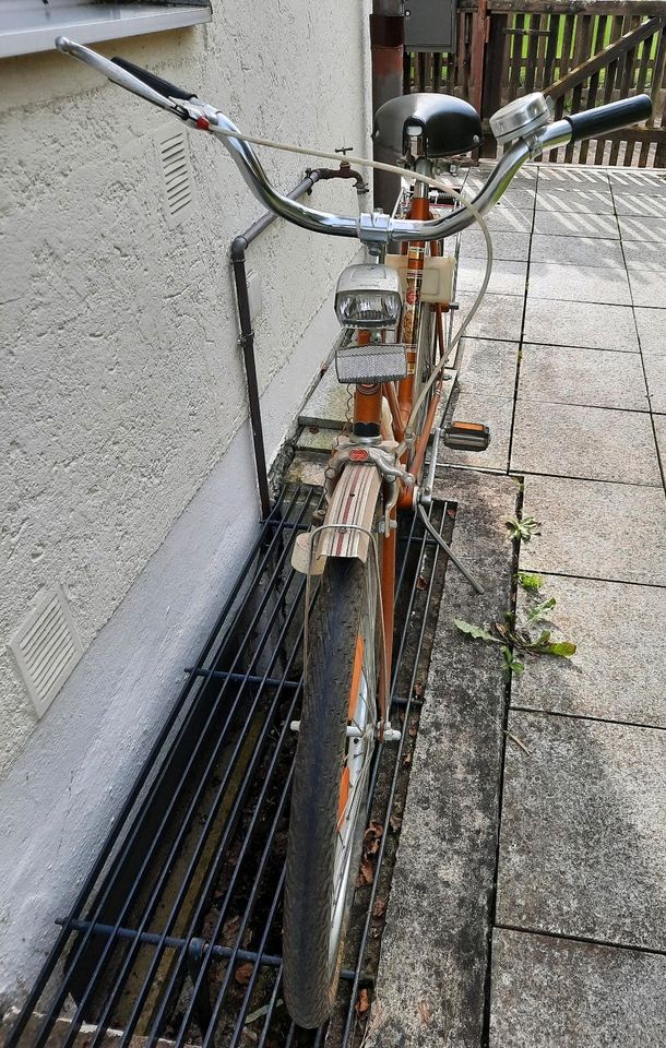 Vintage Fahrräder in Donauwörth