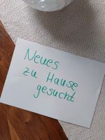 Wohnung in Asemissen / Oerlinghausen gesucht Nordrhein-Westfalen - Leopoldshöhe Vorschau