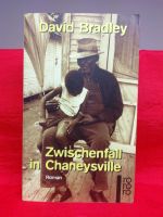 Zwischenfall in Chaneysville Roman David Bradley Taschenbuch 1998 Schleswig-Holstein - Flintbek Vorschau