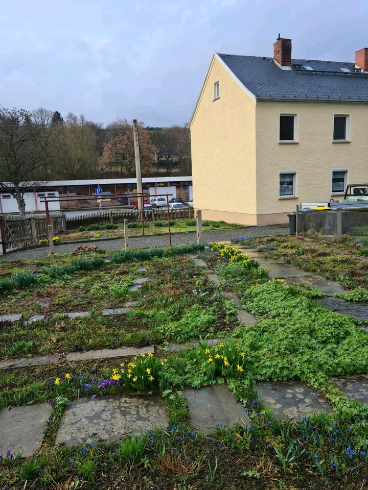 Einfamilienhaus in Mohlsdorf