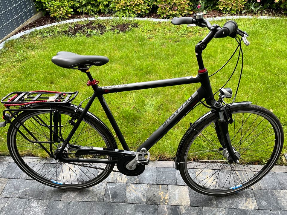 Fahrrad Pegasus Solero in Aachen