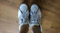 Adidas Sneaker Sportschuhe 43 1/3 Hallenschuhe Sachsen - Kamenz Vorschau