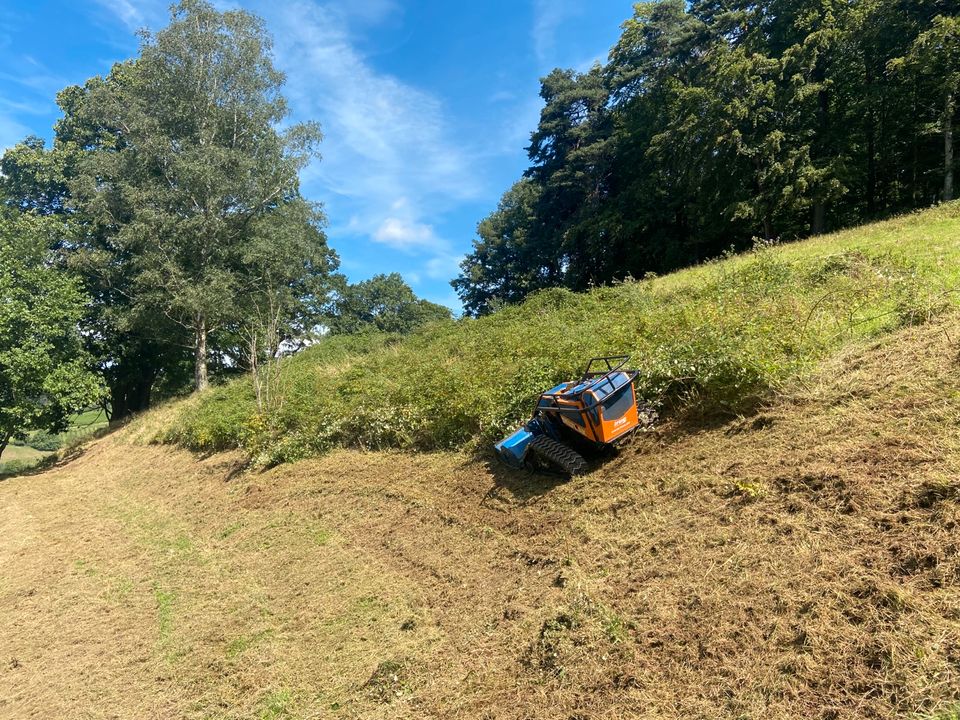 Mulchen Mähen Mulcharbeiten Böschungspflege Grundstückspflege in Waldkirch