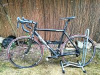 Quantec CC Racing Cyclocross Gravel Bike Gr.M 28" Baden-Württemberg - Mannheim Vorschau