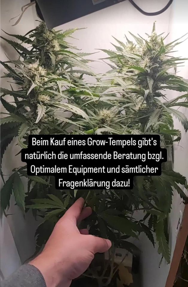 Growschrank aus Echtholz – No. 1 – Growbox für Cannabis-Anbau in Augsburg