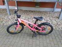 Kinderfahrrad 20 Zoll pink Mädchen Dresden - Leuben Vorschau