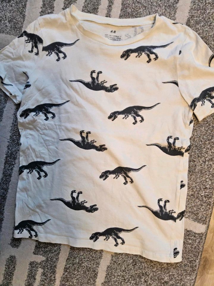 Kleidungspaket für Jungen gr. 134, 3 tshirts H&M , 3 Sommerhosen in Erfurt